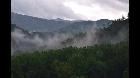 Smokies - 2025