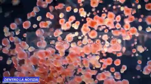 BIOFOTONI