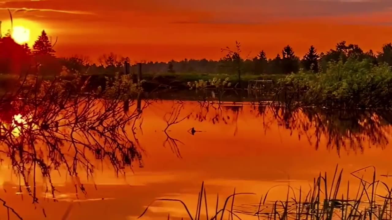 Your Soul Remembers | Inner Peace and Presence