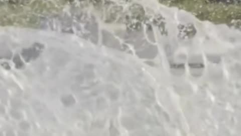 😂💦 Water Ski Fun! | FunFM