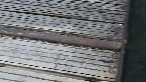 is your blower not blowing as hard do this #ourtruckinglife