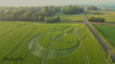 Culliford Tree Barrow Crop Circle, Dorset. 18th May 2025