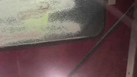 Rocket Spray is Silly String for Adults