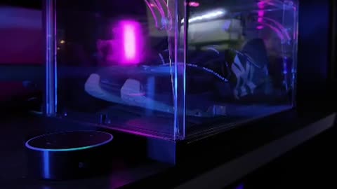 Sole Capsule The Future of Sneaker Display by Sole Capsule — Kickstarter