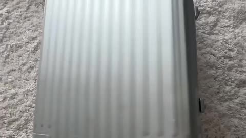 MrBeast's Perfect Steak