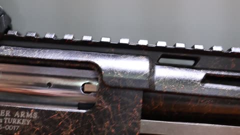 Panzer Arms
