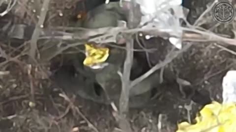 Russian Soldier Falls Over Like a Tree