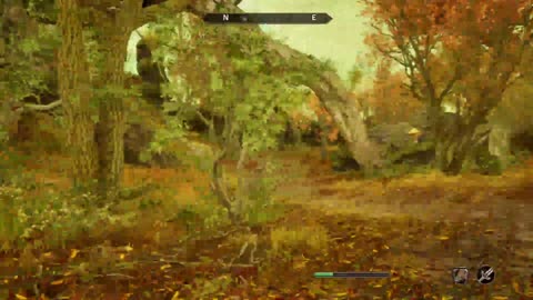 The Veiled Shadow 110% Invisible Elf in Oblivion Remastered - Expert Diff