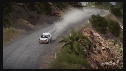 WRC9 (Ps5) Race37