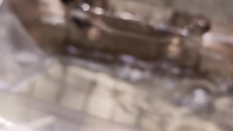 Bicycle pedal maintenance.