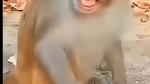 "Baby’s Unexpected Reaction 😂 | Cutest Laugh Ever!"