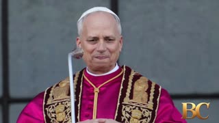 Pope Leo XIV appeals for unity within the Catholic Church