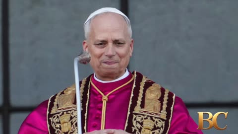 Pope Leo XIV appeals for unity within the Catholic Church