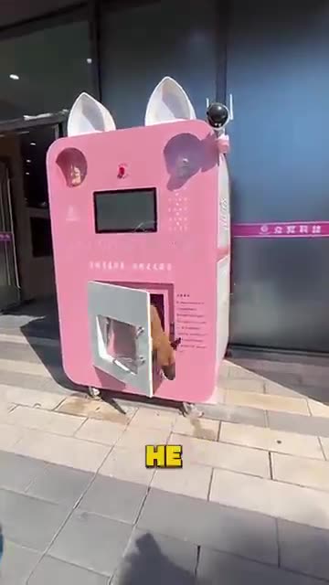 Is this innovative or just a silly invention Share your thoughts