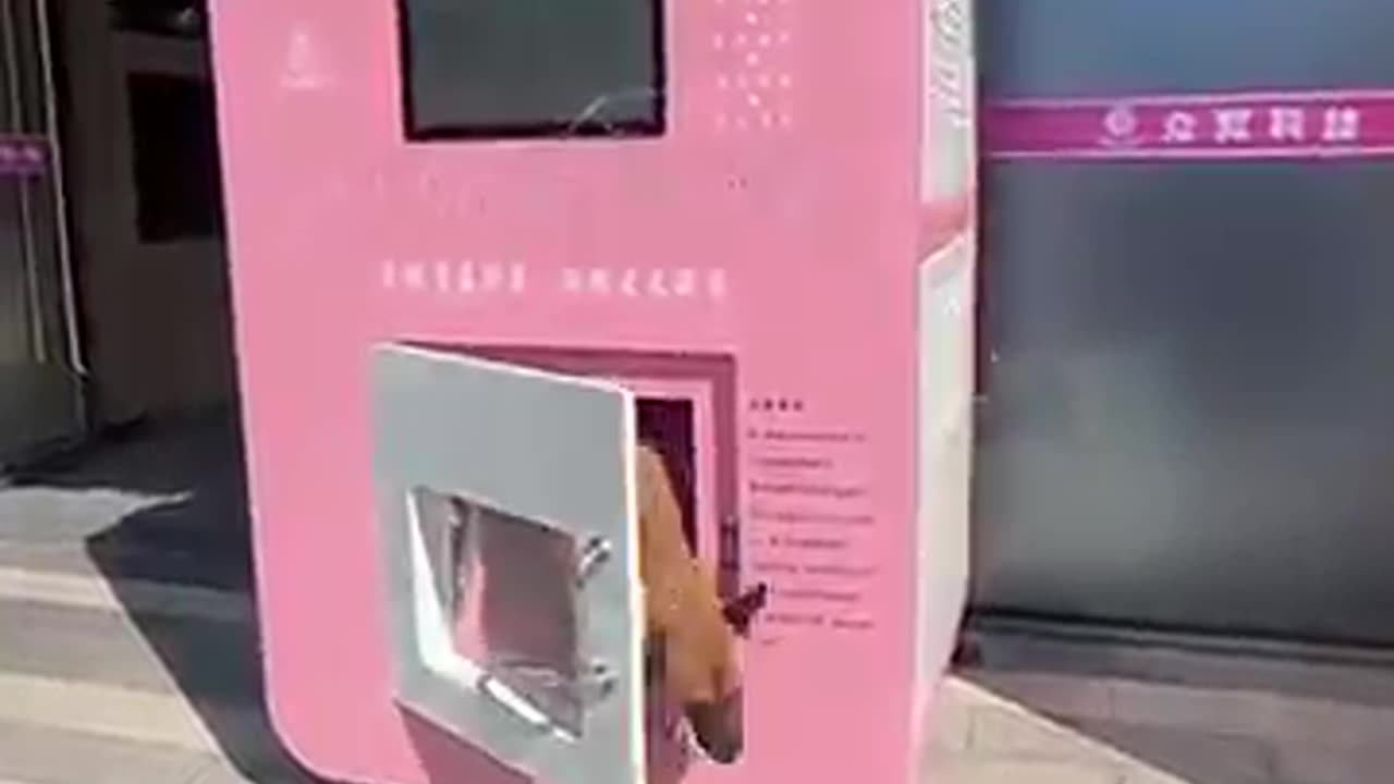 Is this innovative or just a silly invention Share your thoughts