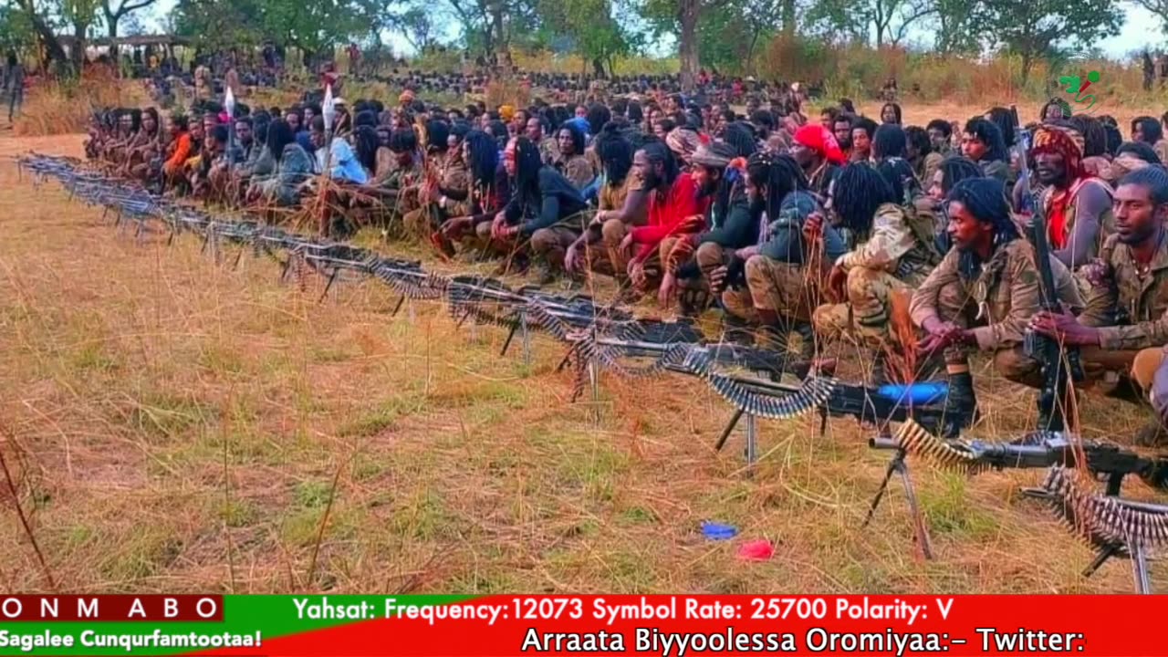 Gabaasa Tarkaanfii ONM-ABO Caamsaa 1-2025 itti dhiyaadhaa!