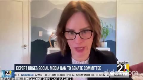 Expert urges social media ban to Senate committee