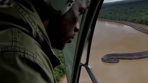 Amazonas. 😱