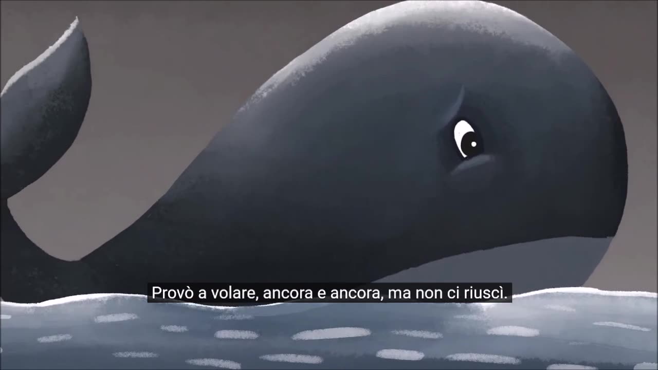 Il Gabbiano e la balena