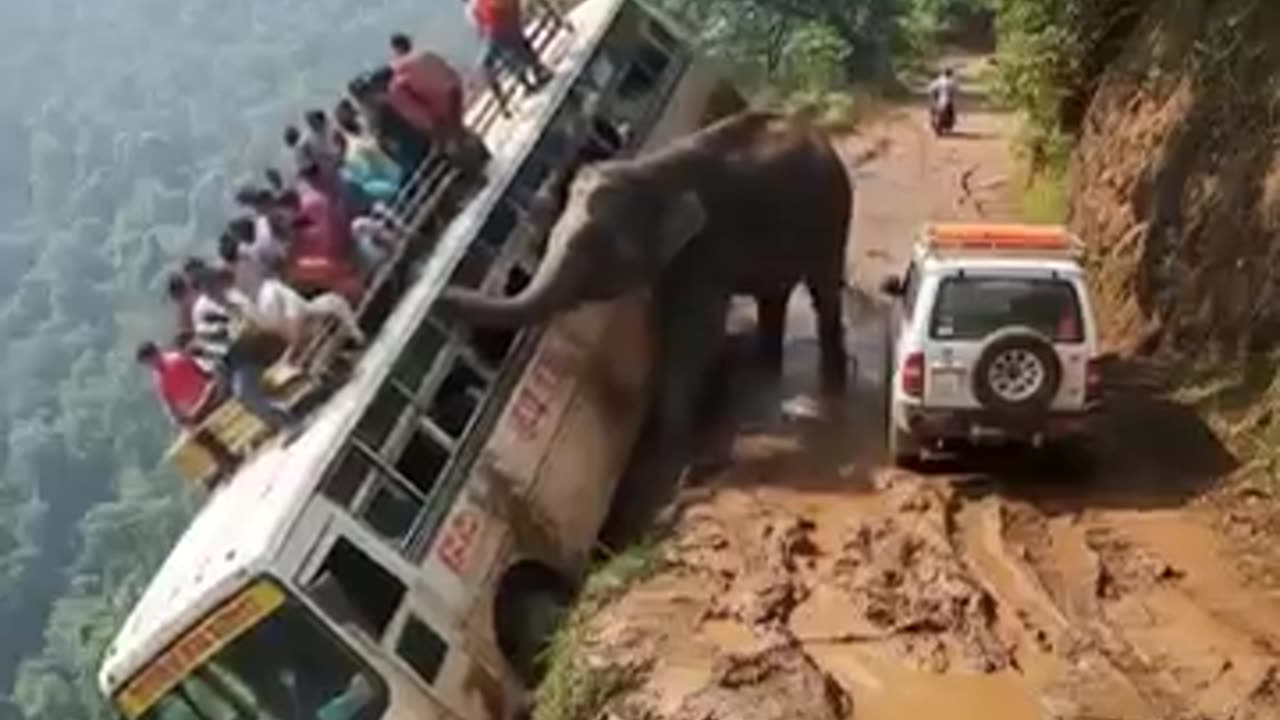 Viral: TERRIFYING: Wild Elephant ATTACKS Tourist Bus on Deadly Cliff Edge | AI-G