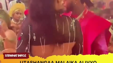 MALAIKACUTE