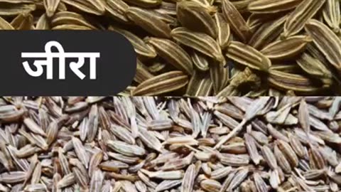 Jeera Khane Ke Fayde