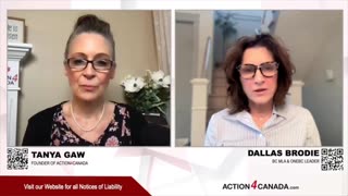 Two Pillars of Democracy: Property and Law