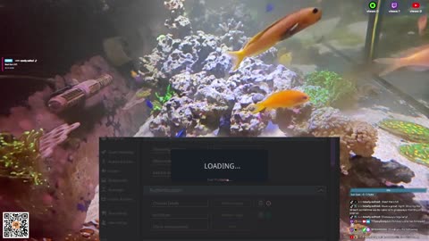 24/7 Real Live Reef Stream