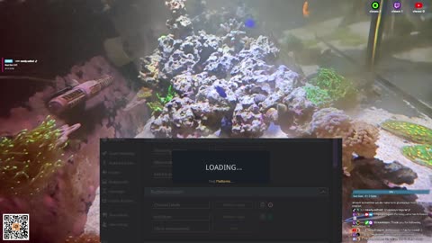 24/7 Real Live Reef Stream