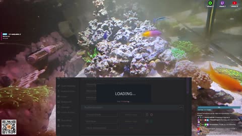 24/7 Real Live Reef Stream