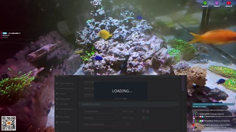 24/7 Real Live Reef Stream