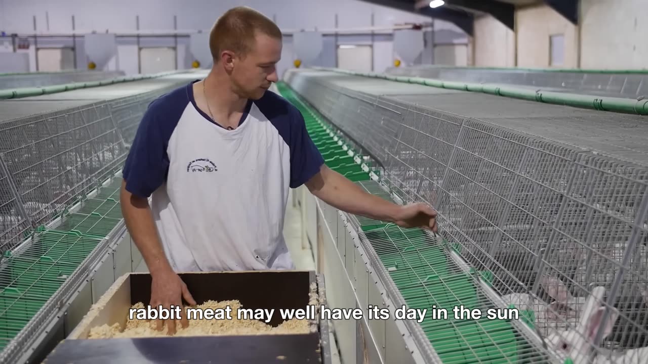 How MILLIONS of Tons of Goat Cheese & Meat 🐐 Are Produced | Amazing Goat Farming & Processing!
