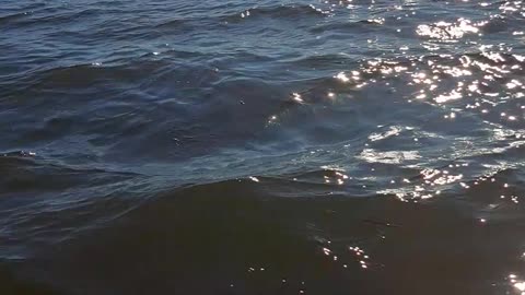Phone's Near-Drowning! My Underwater Swim! 😱