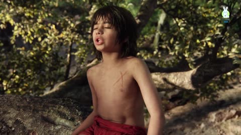 A boy living with animals in jungle // jungle book movie explained 4K HD