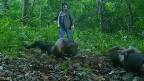 फ़ेसबुक पर धमाल मचा दिया ये मूवी