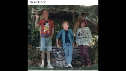 WTF Stein TRUMPStein