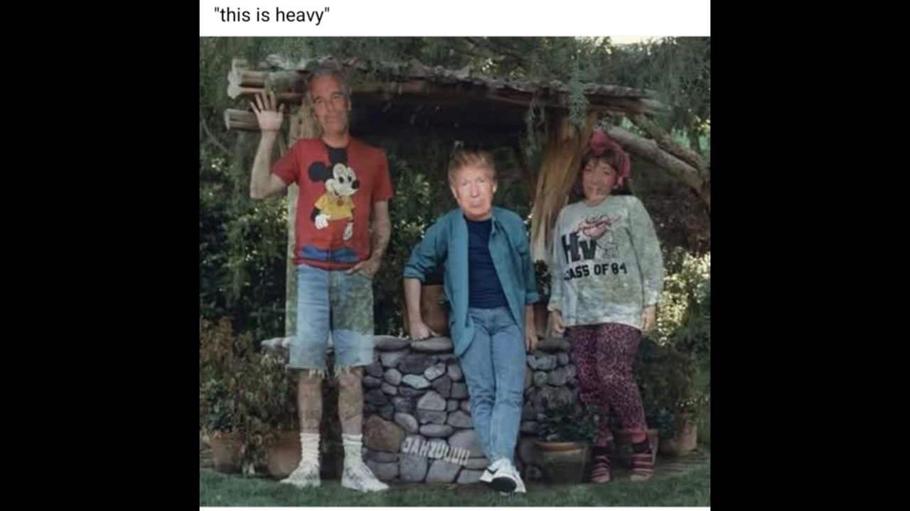 WTF Stein TRUMPStein