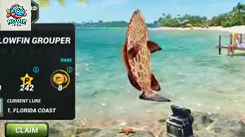 Fishing Clash: Yellowfin Grouper Fish