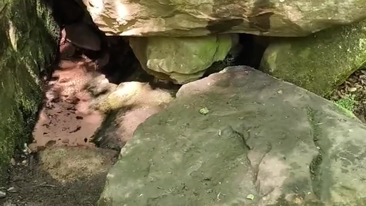 Die Pfälzer Stenzel Quelle wird geschlossen