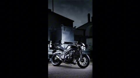 Golden Sunset | Floating Thoughts | Peaceful Mind