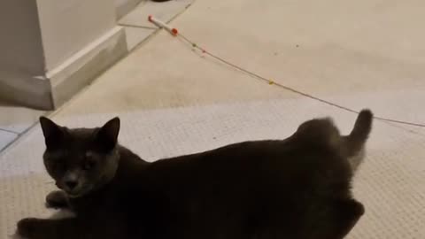 😱👻 You Won't Believe What They Caught on Camera! Monday Night | TheHauntingHour