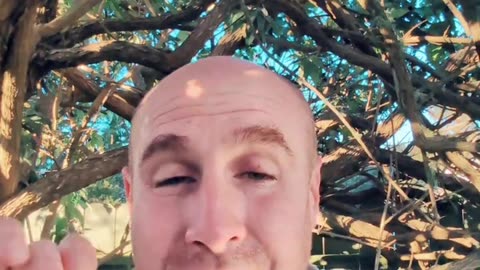 2 Unique Secrets to Copywriting Success