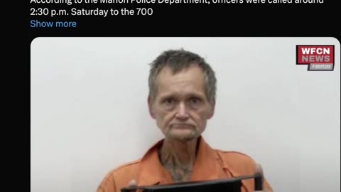 W.T.E.L.F. • by DP • 11-05-2025