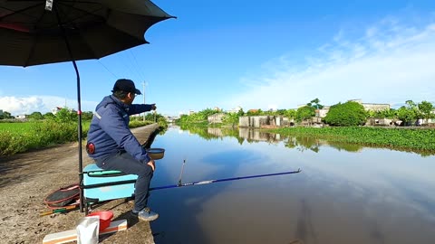 Bass Behavior Understanding Their Patterns
