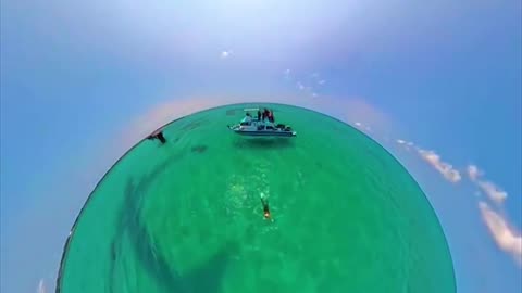 When Your Camera Decides to Flex 😤