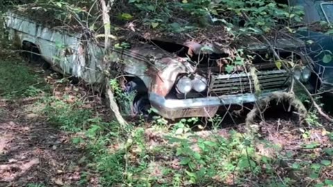 World 🌎 Wide Classic car Junkyard