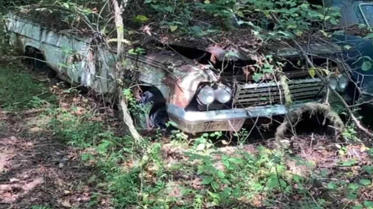 World 🌎 Wide Classic car Junkyard