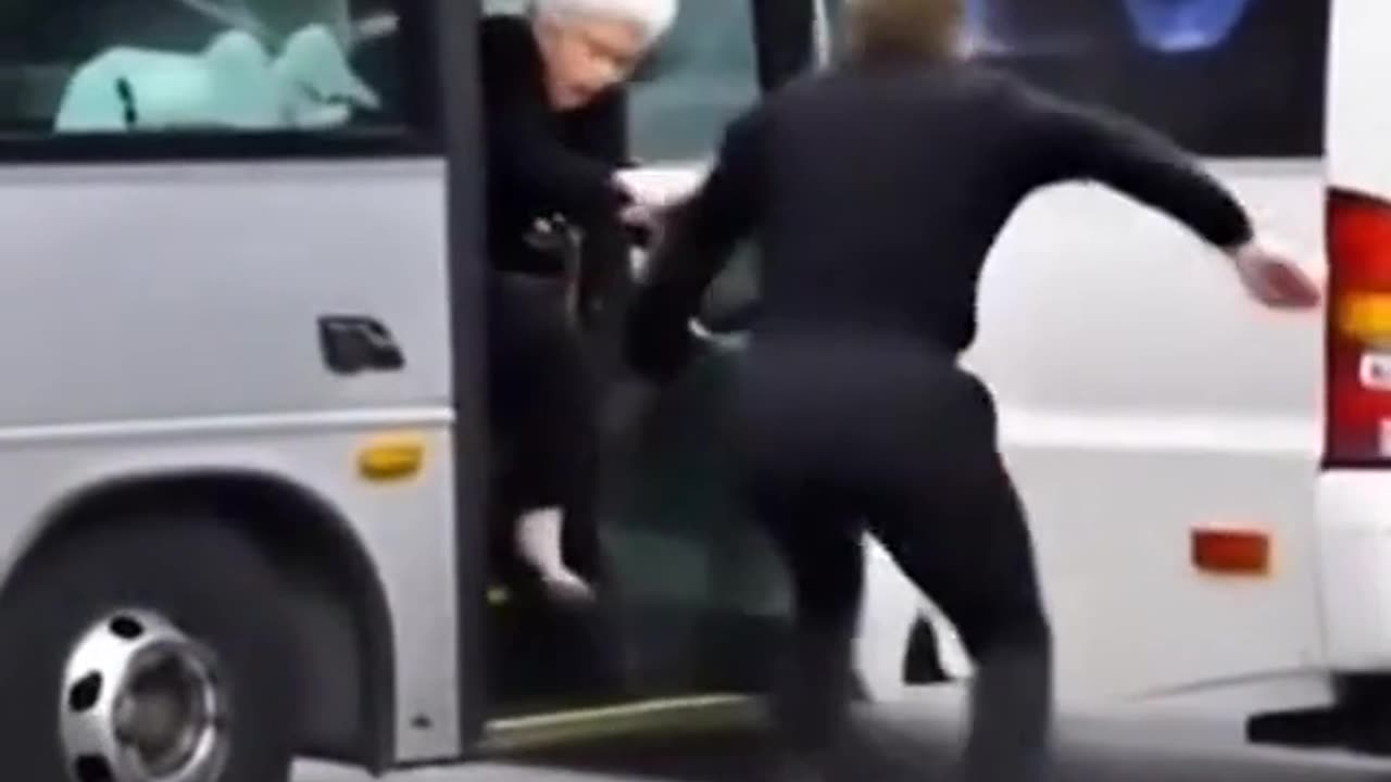 Connor Mcgregor Fighting Another Bus