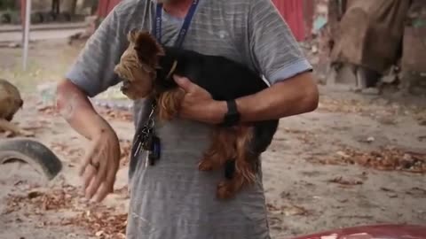 🐕🚨 Ukraine Russia War | Ukrainian Civilian's Dog Warns of Incoming Attacks | RCF