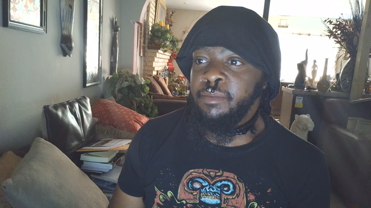 An update on Targeted Individuals